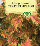 Колеус Блюме Скарлет Драгон "Гавриш"