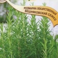 Розмарин лекарственный Вешняковский семко"Гавриш"