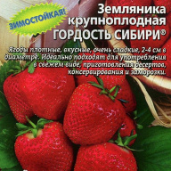 Земляника крупноплодная Гордость сибири "Уральский дачник"