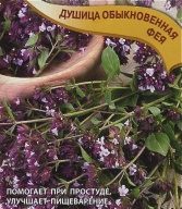 Душица обыкновенная Фея "Гавриш"