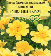 Бархатцы отклоненные Алюмия ванильный крем  "Гавриш"