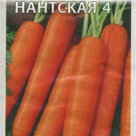 Морковь Нантская 4 "Гавриш"
