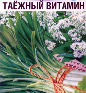 Черемша Таежный витамин "Сибирский сад"
