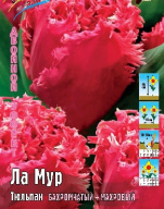 Тюльпан бахромчатый+махровый Ла Мур 
