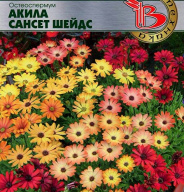 Остеоспермум Акила сансет шейдс "Биотехника"