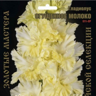 Гладиолус Сгущенное Молоко
