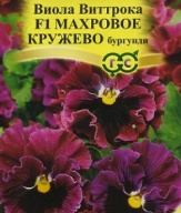 Виола Виттрока F1 Махровое кружево бургунди "Гавриш"