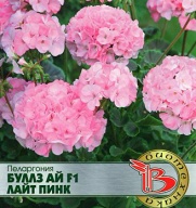 Пеларгония Буллз Ай F1 Лайт Пинк "Биотехника"