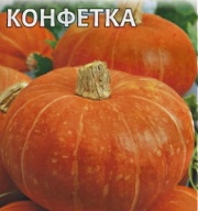 Тыква Конфетка "Гавриш"