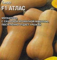 Тыква F1 Атлас "Гавриш"