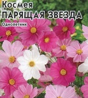 Космея Парящая звезда "Гавриш"