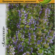 Тимьян (чабрец) Лимонный "Престиж семена"