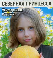Дыня Северная принцесса "Сибирский сад"