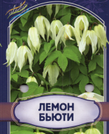 Клематис Лемон Бьюти 