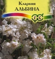 Кларкия Альбина "Гавриш"