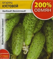 Огурец Кустовой "Русский Огород"