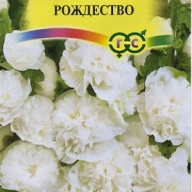 Мальва Рождество"Гавриш"