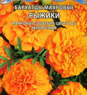 Бархатцы махровые Рыжики "Premium seeds"