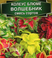 Колеус Блюме Волшебник смесь сортов "Аэлита"