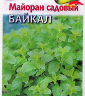 Майоран Садовый Байкал "Гавриш"