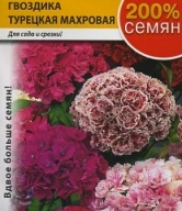 Гвоздика Турецкая махровая  "Русский Огород"