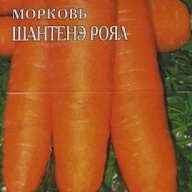Морковь Шантенэ роял  (на ленте)  "Гавриш" 