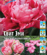 Тюльпан махровый Свит Эми