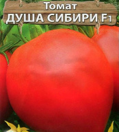 Томат Душа Сибири F1 "Premium Seeds"