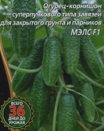 Огурец - корнишон Мэлс F1 "Уральский дачник"