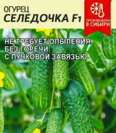 Огурец Селедочка F1 "семена Алтая"