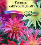 Георгина Кактусовидная "Гавриш"
