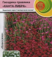 Гвоздика - травянка Канта - Либра "Русский Огород"