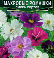 Космея Махровые ромашки смесь сортов "Аэлита"