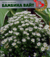Астра китайская Бамбина вайт "Биотехника"