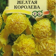 Мальва Желтая королева "Гавриш"