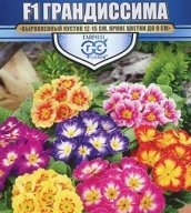 Примула Грандиссима "Гавриш"