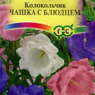 Колокольчик средний Чашка с блюдцем "Гавриш"