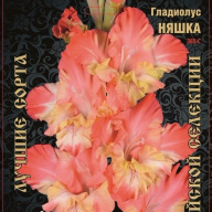 Гладиолус Няшка