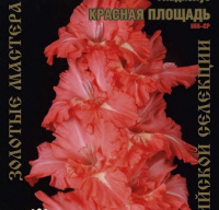 Гладиолус Красная Площадь