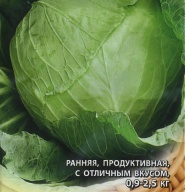 Капуста белокачанная  Июньская "Гавриш"