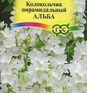 Колокольчик пирамидальный Альба "Гавриш"