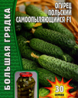 Огурец Польский самоопыляющийся 