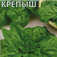 Шпинат Крепыш "Гавриш"