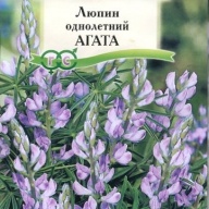 Люпин однолетний Агата "Гавриш"