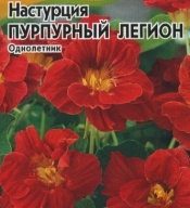 Настурция Пурпурный легион "Гавриш"