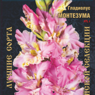 Гладиолус Монтезума