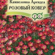 Камнеломка Арендса Розовый ковер "Гавриш"