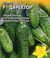 Огурец Директор F1 "Гавриш"