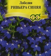 Лобелия Ривьера синяя "Гавриш"