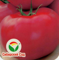 Томат Королева рынка "Сибирский сад"